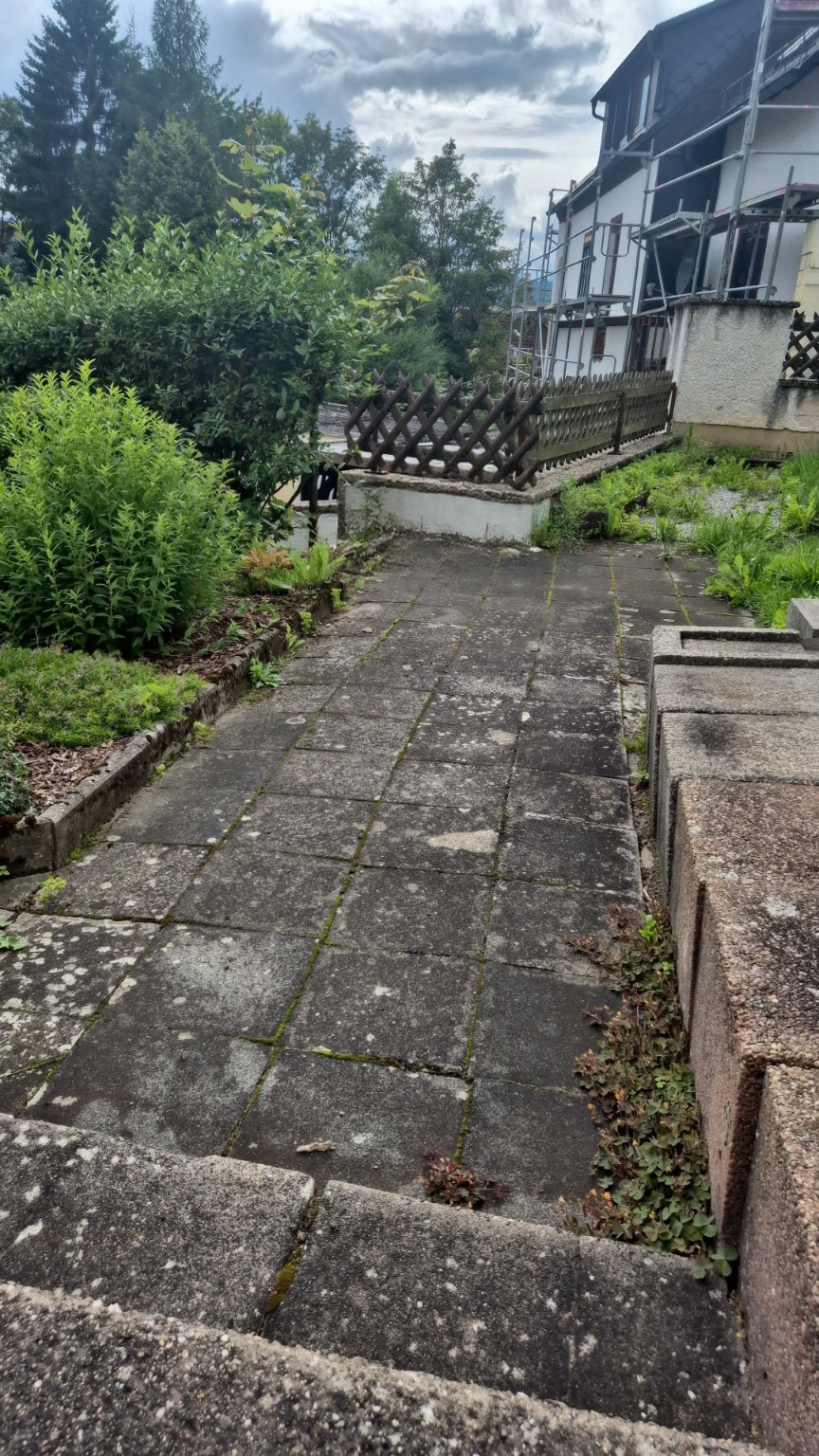 Vorher – Gartenpflege